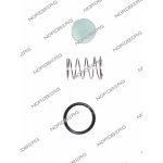 NORDBERG ЗАПЧАСТЬ РЕМКОМПЛЕКТ обратного клапана для NCE50/410V