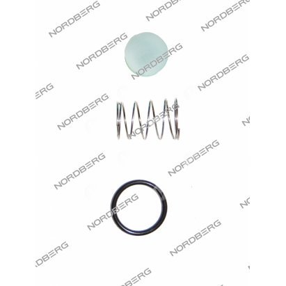 NORDBERG ЗАПЧАСТЬ РЕМКОМПЛЕКТ обратного клапана для NCE50/410V